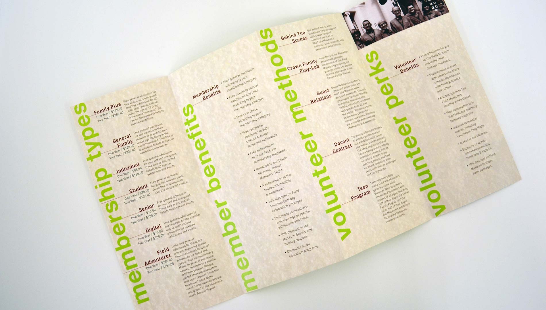 kelsey_mellin_brochure_2